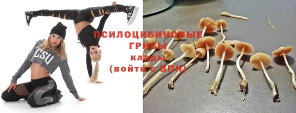 марки lsd Сосновоборск