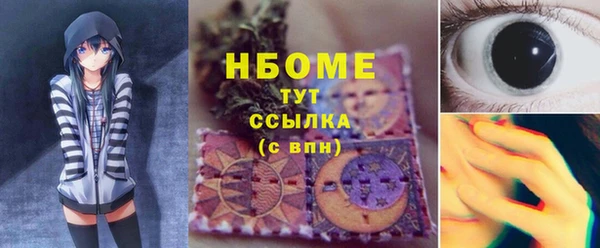 бошки Снежногорск