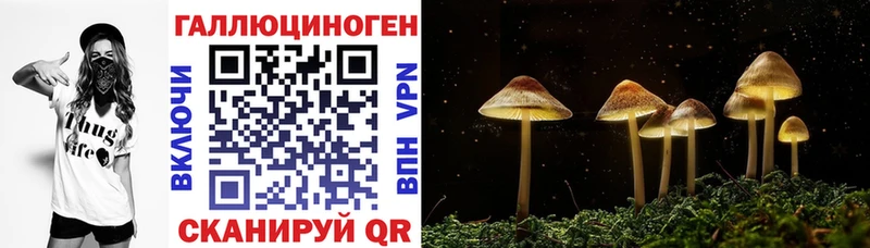 Купить где  Сосновый Бор  Псилоцибиновые грибы ЛСД 